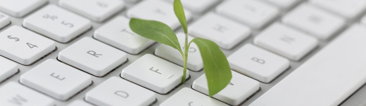 keyboard-with-small-plant keyboard-with-small-plant